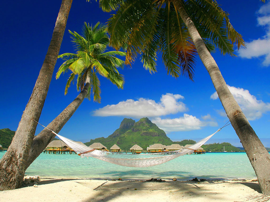 Una hamaca, palmeras, playas paradisiacas, mar azul, sol radiante... ¿que más se puede pedir?